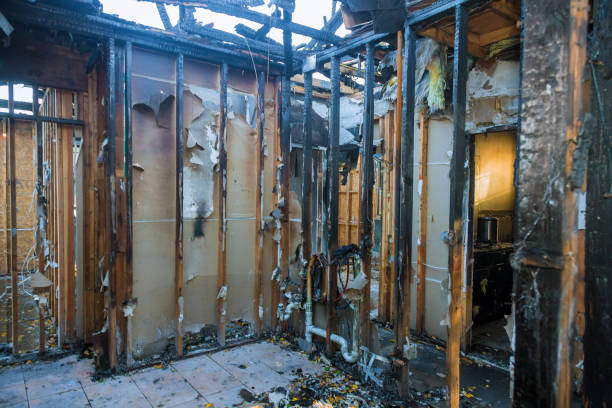 Professional Emergency Fire Cleanup technician working in Pierson, FL